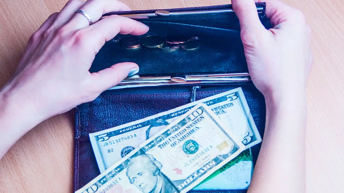 Sem Título 1 0039 purse 2025 01 09 12 40 15 utc
