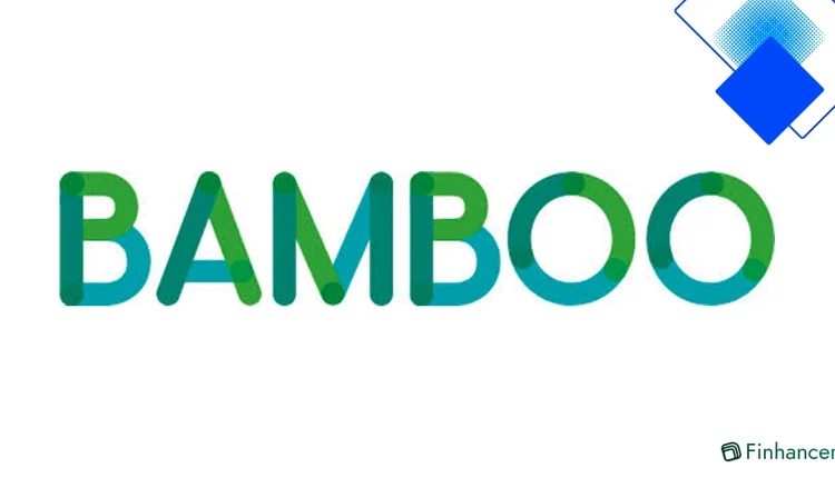 Bamboo Loan Review UK No Nonsense Look at Personal and Guarantor Loans for Fair or Poor Credit